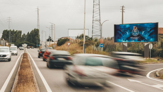 Foto face Aveiro (3883)