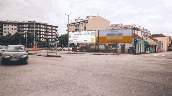 Foto face Aveiro (3949)