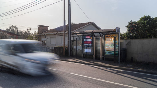 Foto face Maia (mu4846)