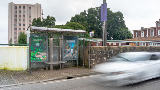 Foto face Maia (mu4849)