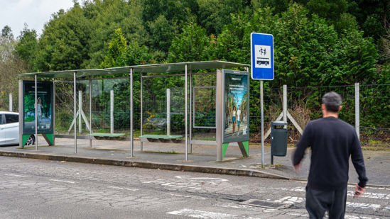 Foto face Maia (mu4985)