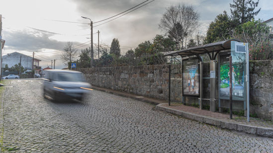 Foto face Maia (mu4879)