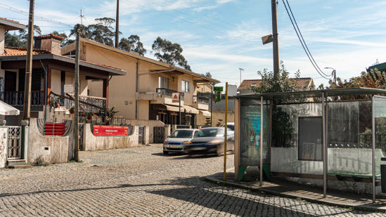 Foto face Maia (mu4992)