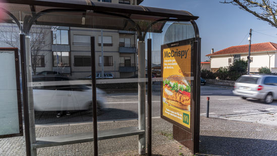 Foto face Maia (mu5328)