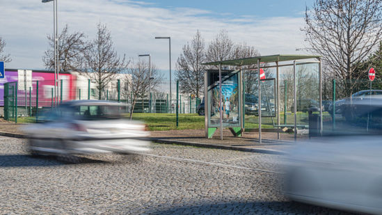 Foto face Maia (mu4979)