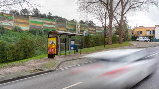 Foto face Maia (mu5107)