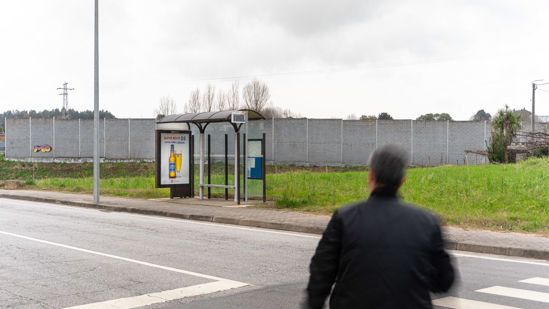 Foto face Maia (mu5163)