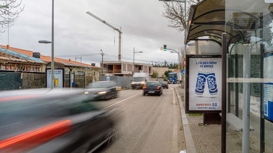 Foto face Maia (mu5213)