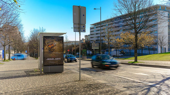 Foto face Porto (mu8341)