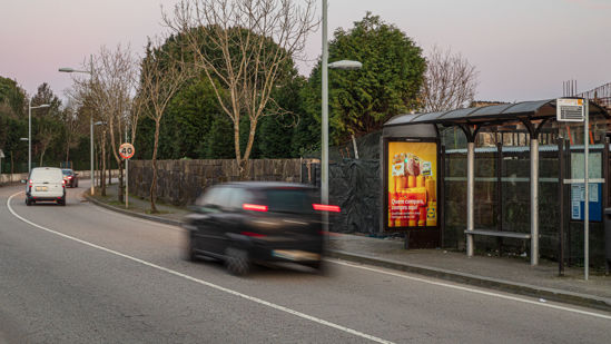 Foto face Maia (mu5127)