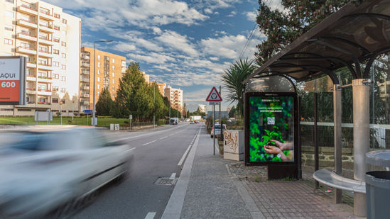 Foto face Maia (mu5121)