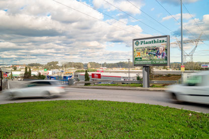 Foto face Maia (6958)