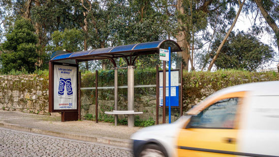 Foto face Maia (mu4970)